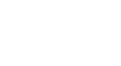 Spin Magnetics